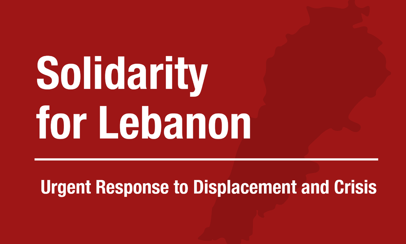 Basmeh & Zeitooneh, Relief & Development, Constructive society, refugee-led relief organization, communities, Peacebuilding, education, protection, food security and livelihood, and civil society enablement